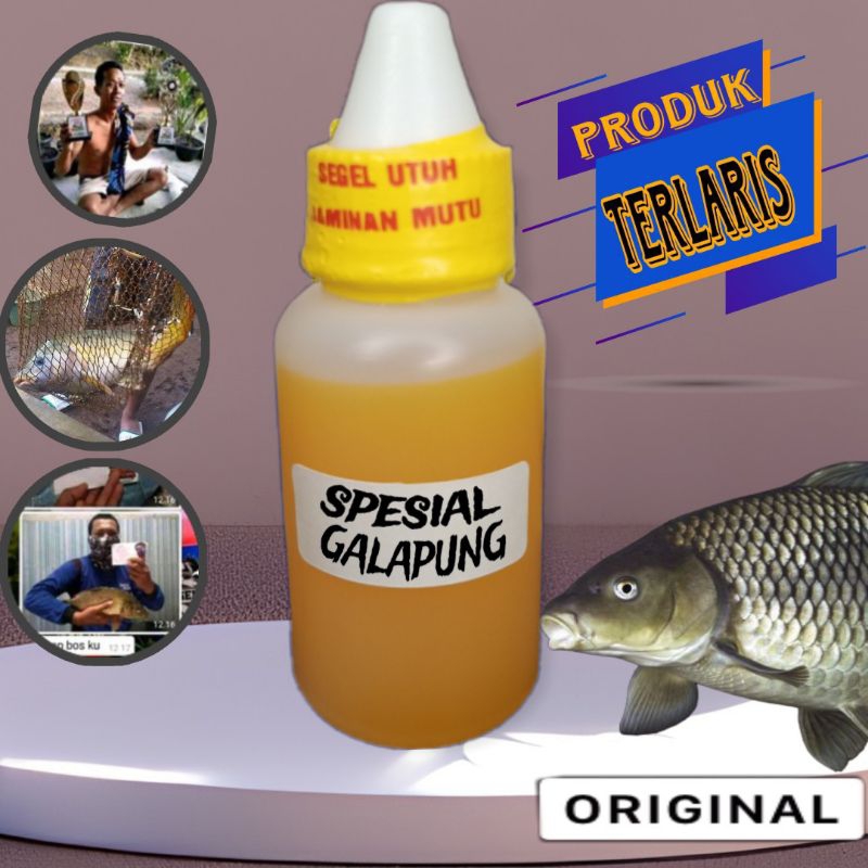 ESSEN GALAPUNG SPESIAL IKAN MAS PALING GACOR