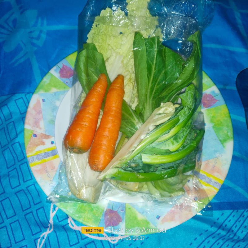 

Paket sayur Capcay Segar siap masak