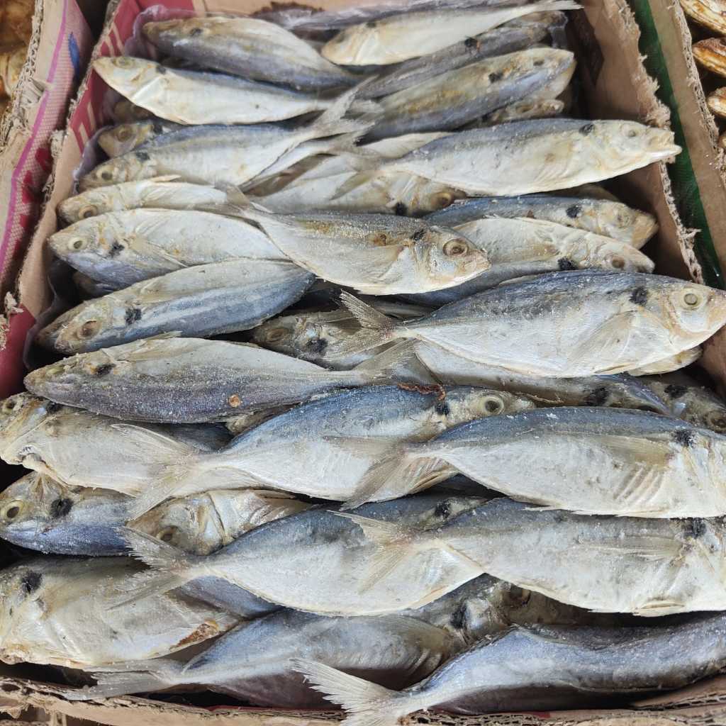 

Ikan Asin Selar Asin 250gr