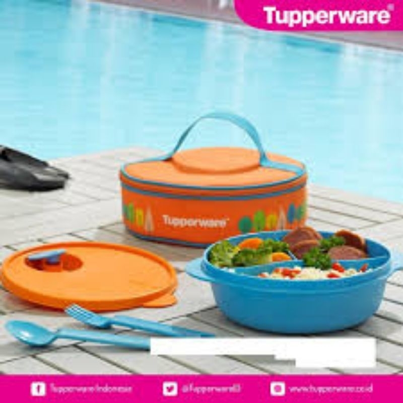 TUPPERWARE FANCY CRYSTALWAVE LUNCH SET
