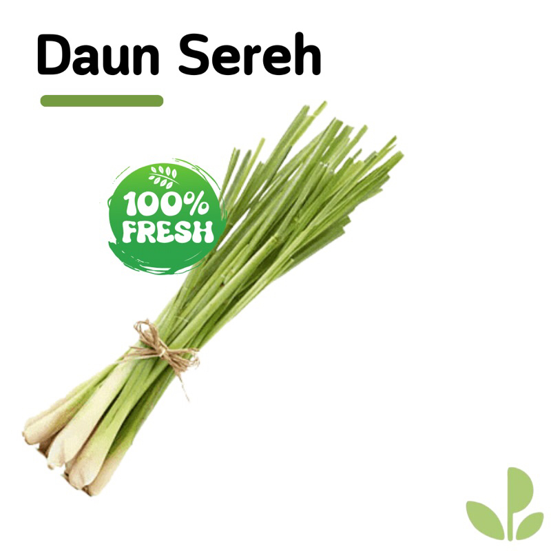 

DAUN SEREH 1 IKAT
