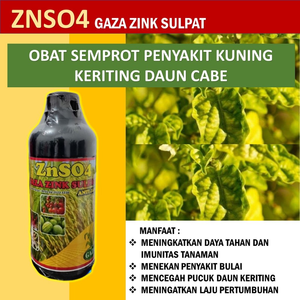 ZNS04 OBAT HAMA PENYAKIT KUNING KERITING DAUN CABE TERBAIK - obat hama penyakit bulai cabe terbaik