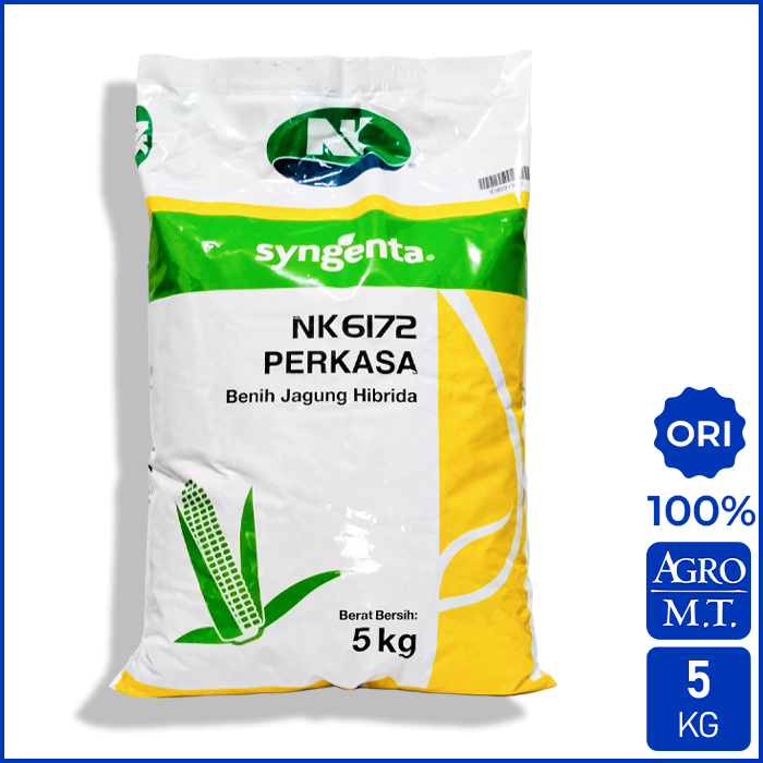 Benih Jagung NK 6172 PERKASA (5KG) - ORI Syngenta