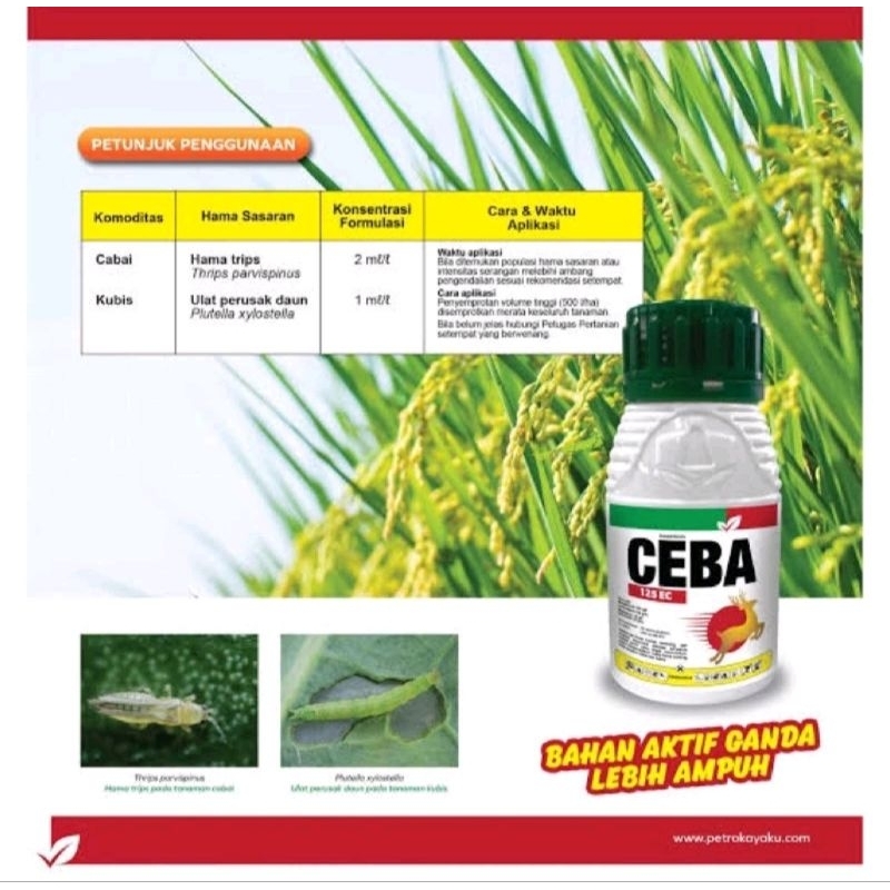 Insektisida CEBA 125SC 250ml