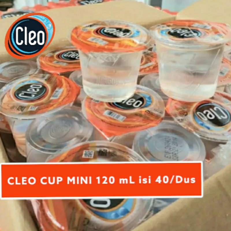 CLEO Cup Mini 120ml Air Mineral 1 Dus isi 40 Gelas Kecil