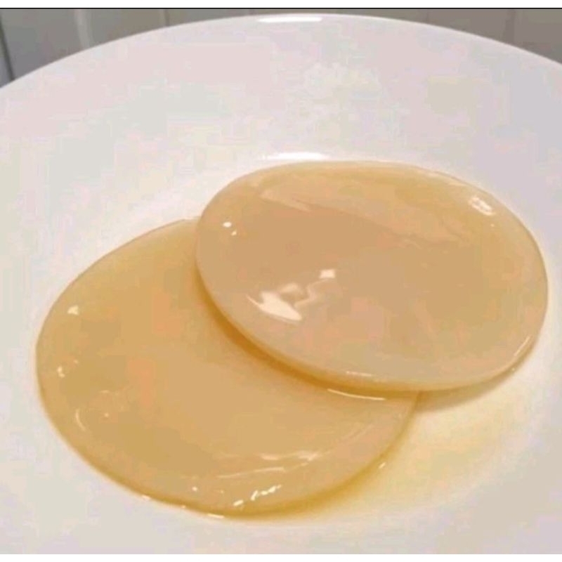 Scoby Kombucha Bibit Jamur Kombucha