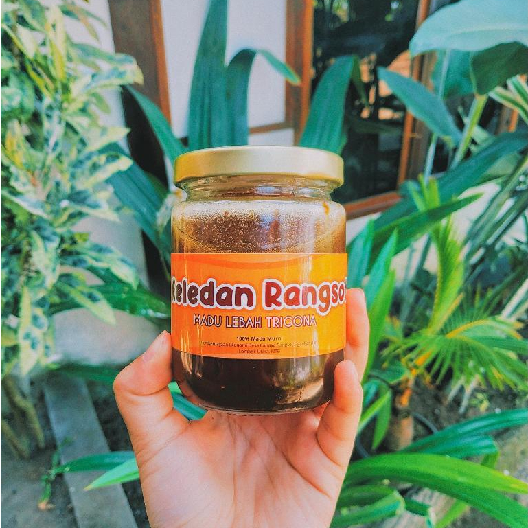 

Madu Trigona Asli - 100ml