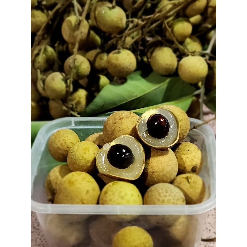

Buah Kelengkeng Kateki Manis 1Kg
