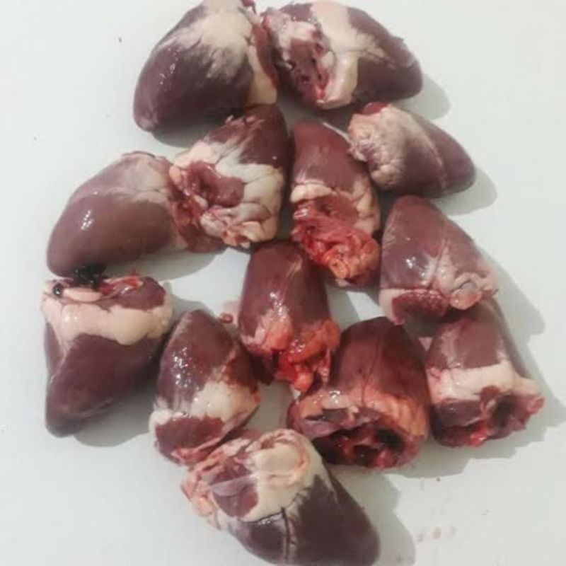 Jantung Kambing / Daging Kambing