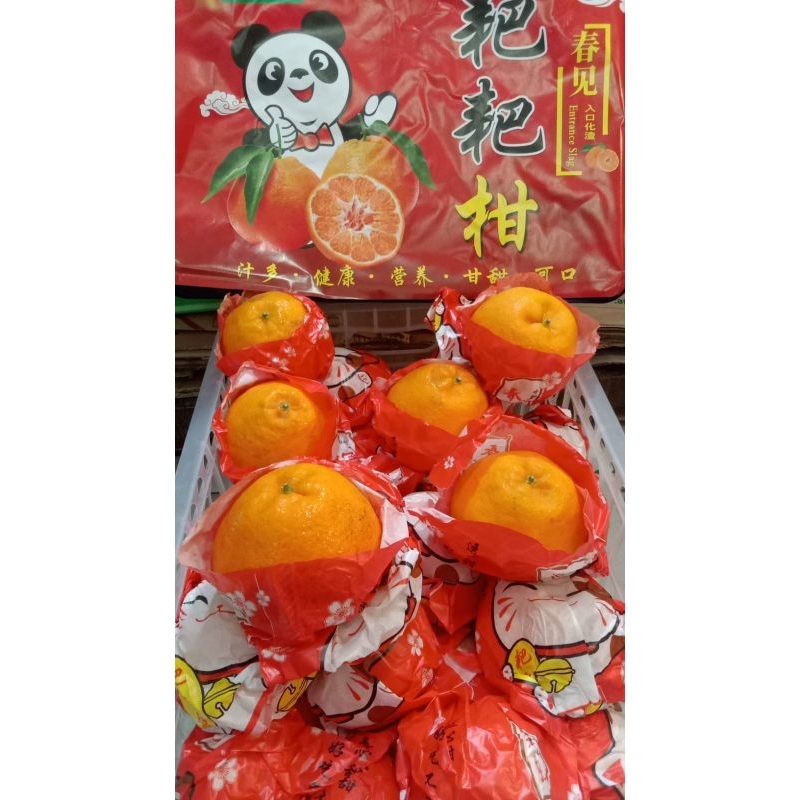 

JERUK DEKOPON JUMBO non biji/1kg