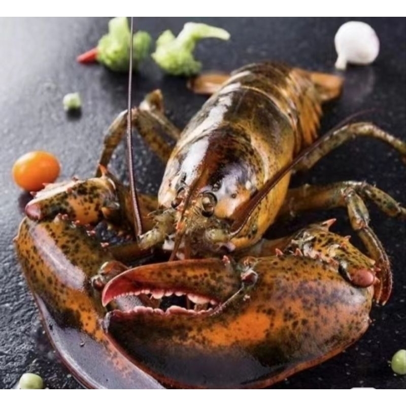 

Goldfish Seafood Lobster Boston