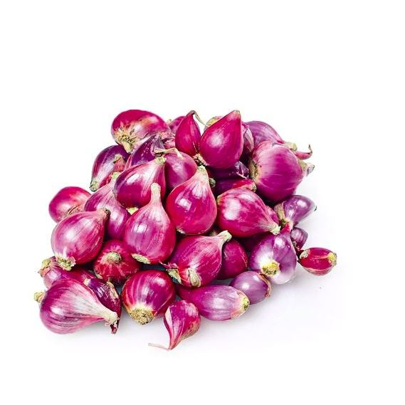 

Bawang merah / Bawang merah brebes