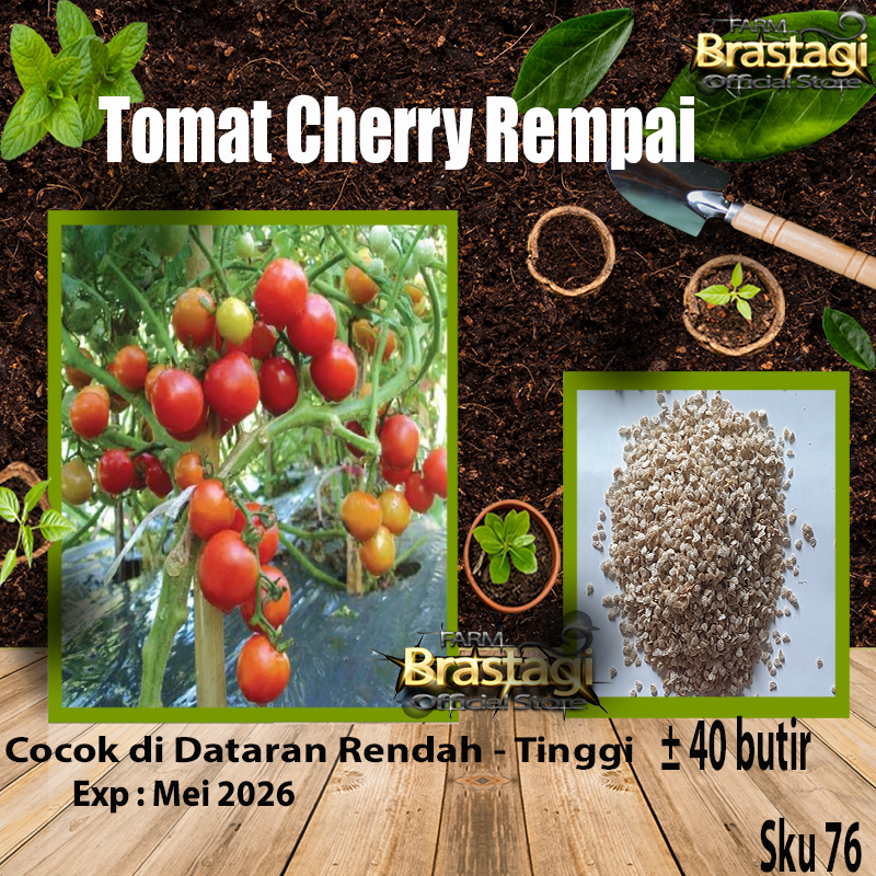 FBTG - 40 Benih Tomat Ceri Rampai Determinate (Lebat Kecil Sebesar Kelereng) Bibit Sayuran Rempai Ch