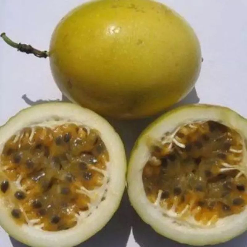 

Buah markisa segar tua 1kg