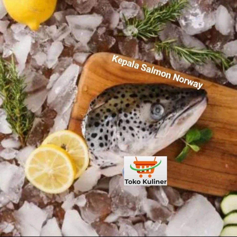 

Kepala Salmon Norway