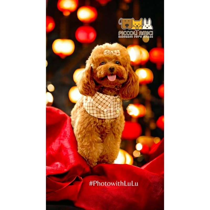 BIB / PET'S COLLAR / DOG / CAT / RABBIT / giant dog