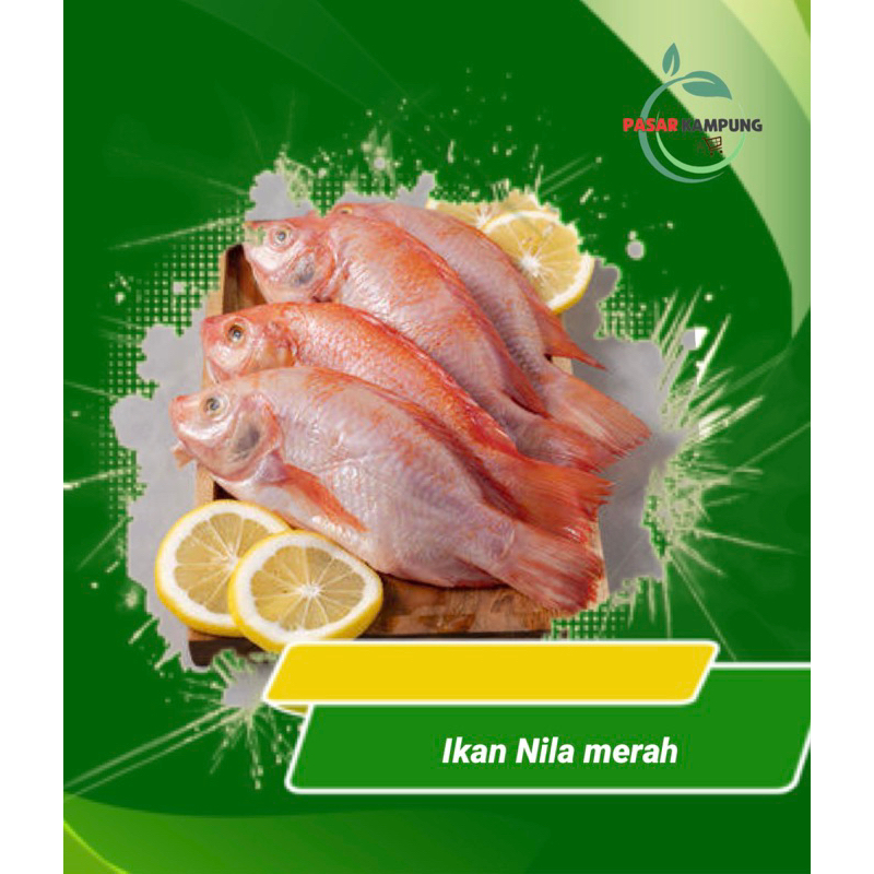 

Ikan nila merah [kusus pemesanan H-1 atau maksimal jam 5 pagi dikirim dihari yg sama]