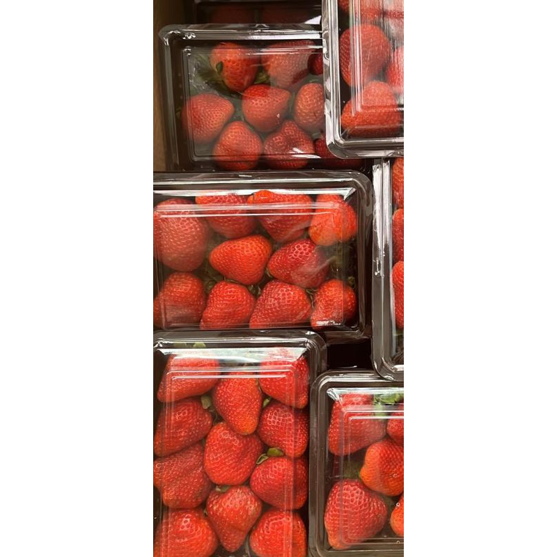 

Strawberry Korea Fresh Dominan Manis