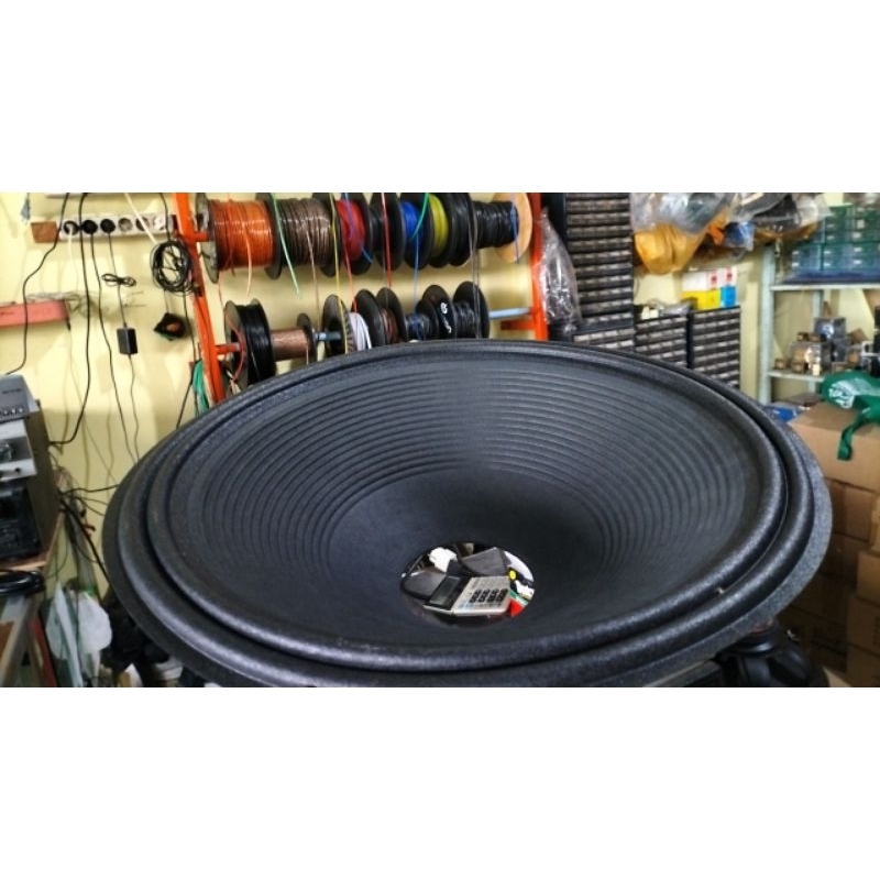 DAUN SPEAKER 18 INCH SPULL 4 INCH RCF ASHLEY ENIGMA RDW 12,5 CM