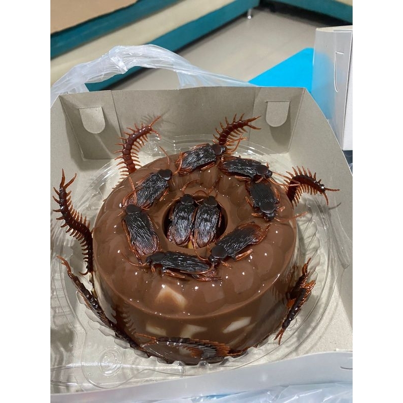 

PUDING COKLAT VANILA PRANK KECOA UNIK KELABANG KUE TART PUDING JAIL HAMPERS TEMEN ULANG TAHUN MURAH KEKINIAN