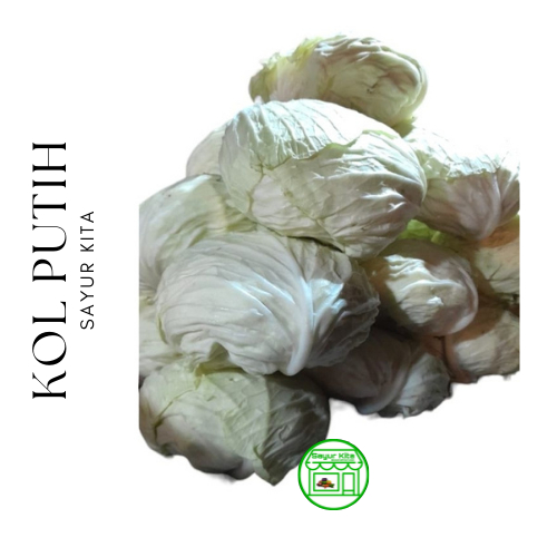 

Kol Putih 1 kg