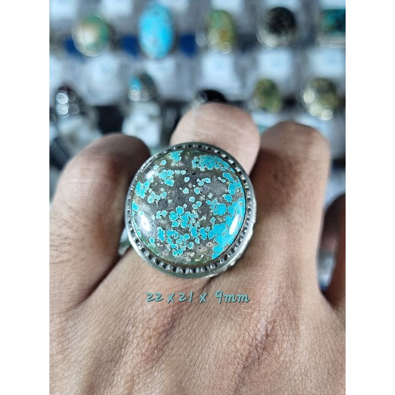 PIRUS PERSIA CEPLOK KURO