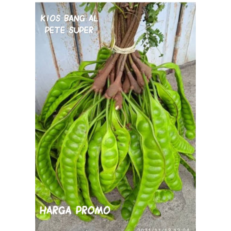 

PROMO PETE TUA DENGAN HARGA MURAH ISI 5-10-15 PAPAN SETIAP PEMBELIAN 10 GRATIS 1-2/PETE SEGAR BERKUALITAS/PETE/PETE PENDEK TUA/PETE MURAH TUA/PETE TUA HARGA MURAH/PETE SUPER JUMBO/PETE TUA ISI SEIKAT 10/PETE TUA ISI SEIKAT 20/PETE TUA SEGAR/DIJAMIN FRESH