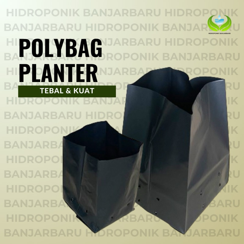 POLYBAG 1/2 KG