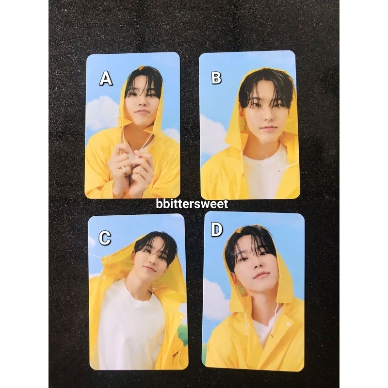 [READY STOCK] PC Hoshi Seventeenth Heaven carver