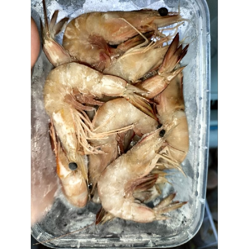

Udang indomanis 500gr dan 1000gr