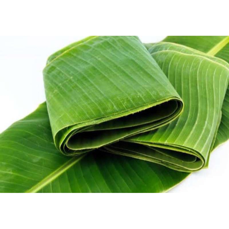 

Daun Pisang Klutuk untuk Lontong, Buras, Koci, Lemper