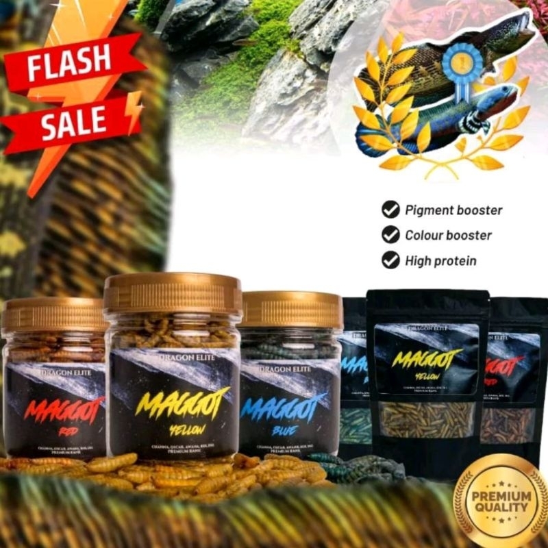Maggot Kering Blue, Red, Yellow Pakan Ikan Predator Channa, Arwana, Predator
