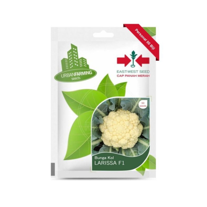Benih Bibit Bunga Kol Larissa f1 cap Panah Merah - BUNGA KOL LARISSA