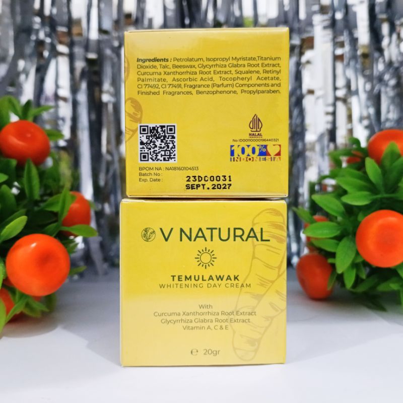 DAY CREAM TEMULAWAK VNATURAL BPOM ASLI ORIGINAL