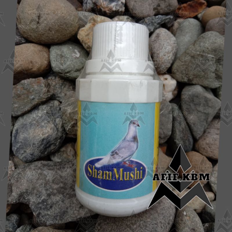 Sampo Merpati Sham Kushi Untuk Merpati & Burung Kicau