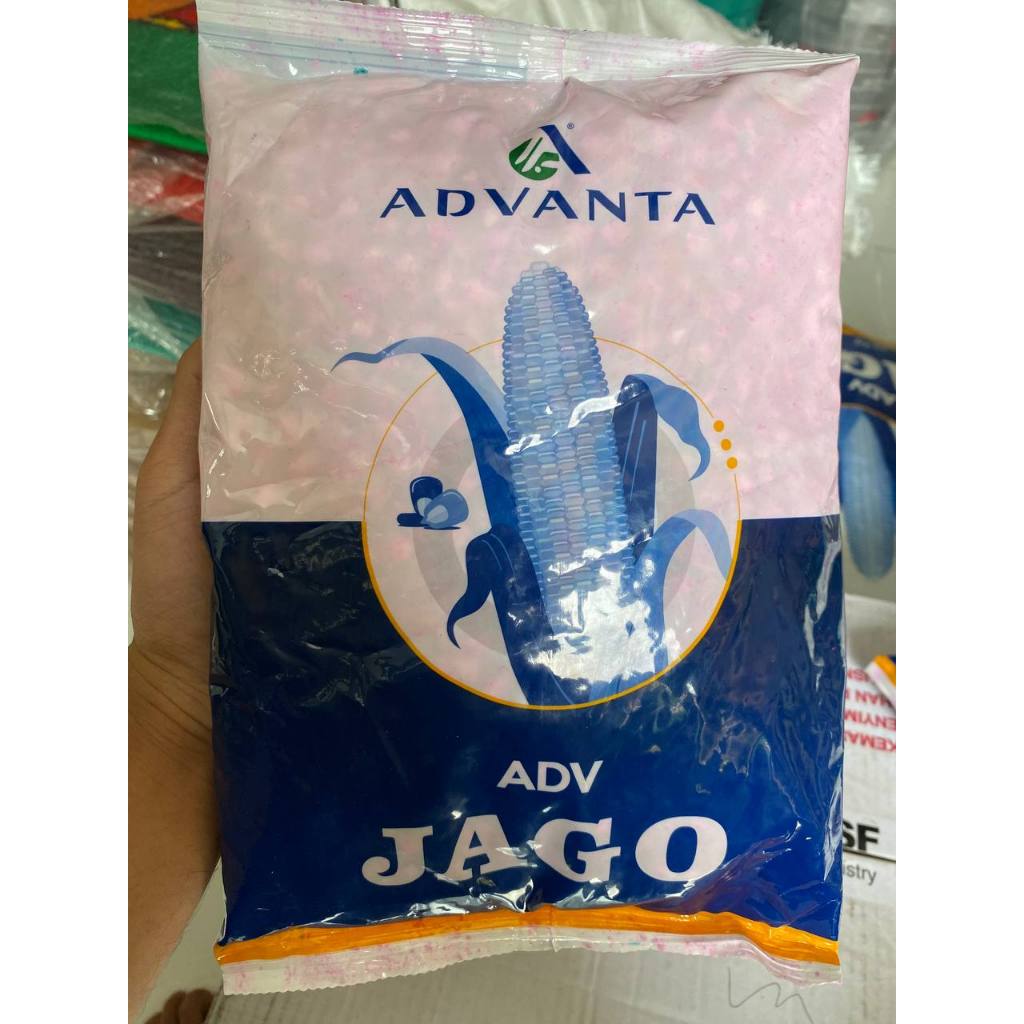 Benih Bibit Jagung Hibrida ADVANTA ADV JAGO Kemasan 1 Kg