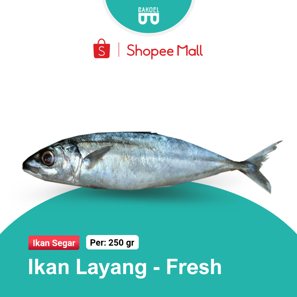 

Ikan Layang