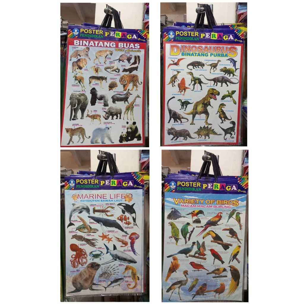 Poster Peraga Pendidikan Anak/Hewan - Sangkala