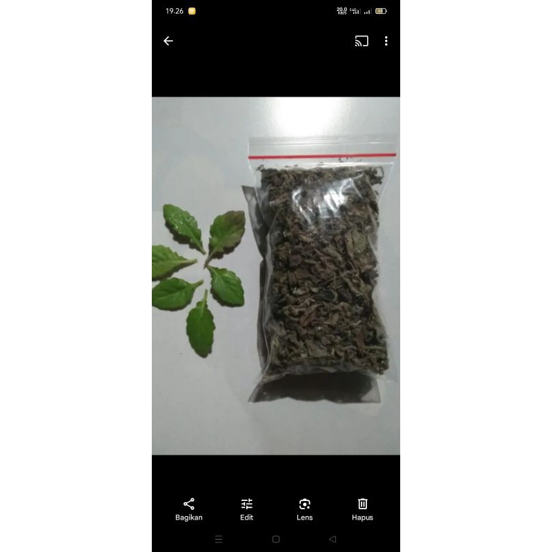 

DAUN DEWA Segar 100 GRAM