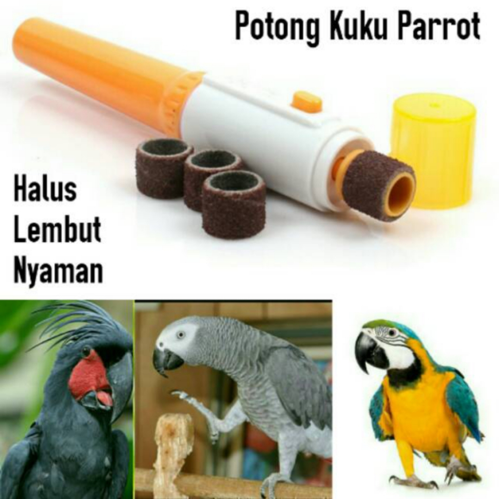 Mesin Potong Penghalus Kuku Burung Parrot Falk Parkit Conure Afgrey Macaw Gerindra