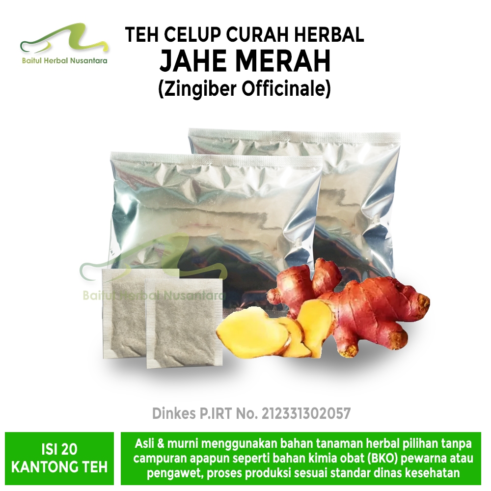

Teh Celup Herbal JAHE MERAH Zingiber Officinale Roxb Ginger Migrain
