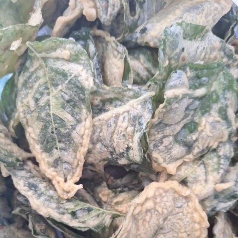 

Peyek bayam