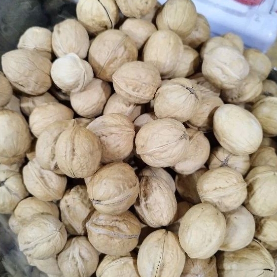 

Kacang walnut panggang 500gr
