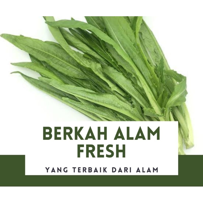 

SELADA WANGI, OI, SIOMAK 900 GRAM