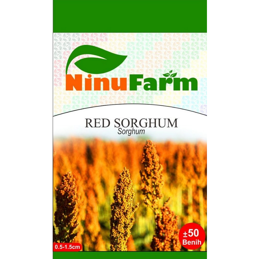 Benih Sorgum Merah - Red Sorghum - Ninufarm - 50 Butir