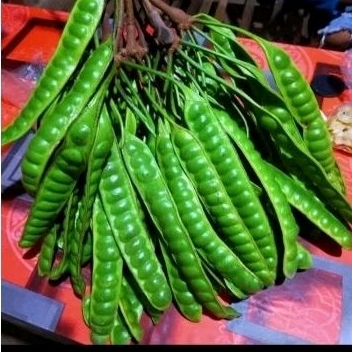 

Pete murah 10 papan cod,obar petay