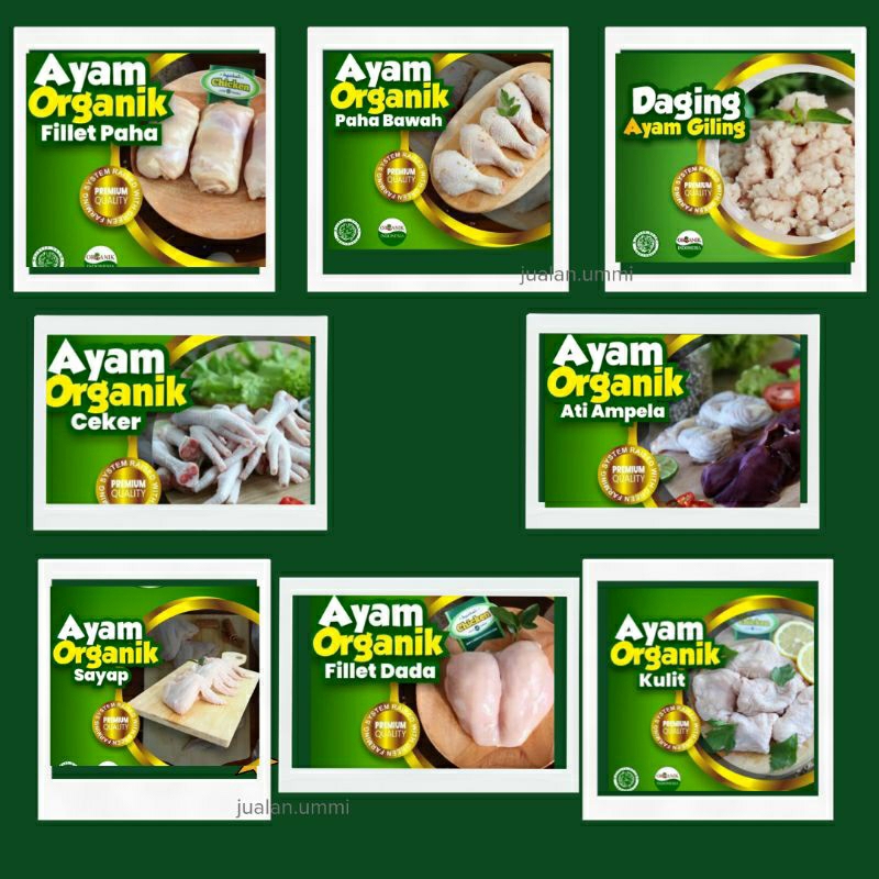 

ayam organik berkah chicken sayap ayam, fillet dada, fillet paha, ceker ayam, ati Ampela, kulit ayam