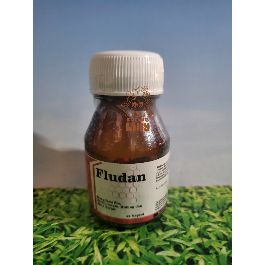Fludan - Obat Pilek Flu Kucing Obat Ingusan Kucing Cair Flu
