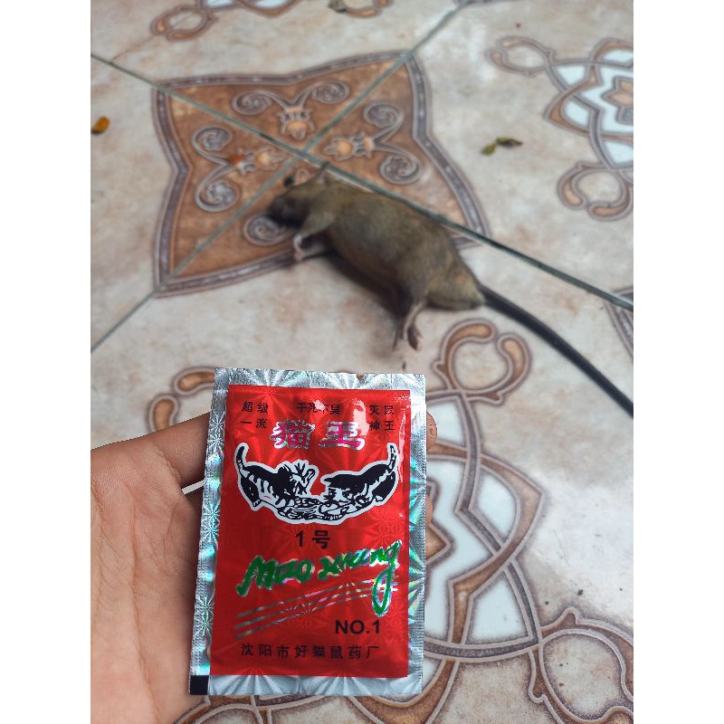 RACUN TIKUS MAOWANG 2M