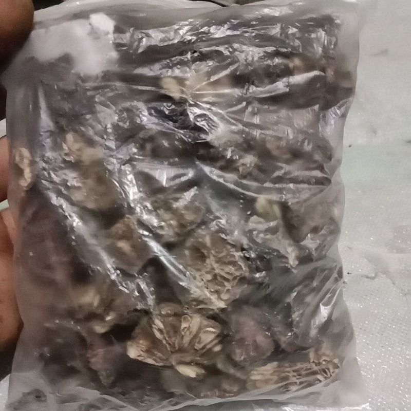 

Buah mengkudu kering satu bungkus